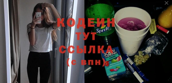 дурь Алексин