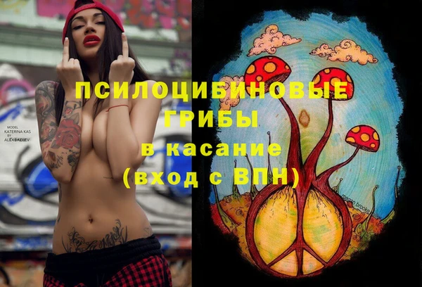 дурь Алексин