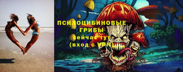 дурь Алексин